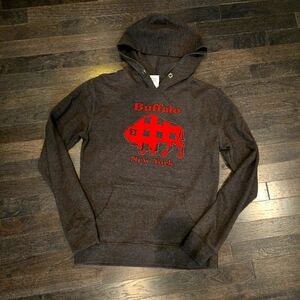 Buffalo, New York - Charcoal Gray Lightweight Hoodie - Red 🦬 Plaid - SZ Small